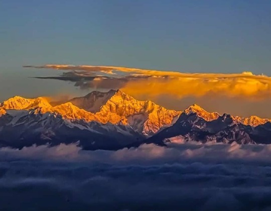 Hotel June’s Upcoming Artist in Residence