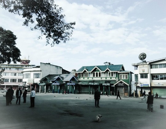 Hotel June’s Upcoming Artist in Residence